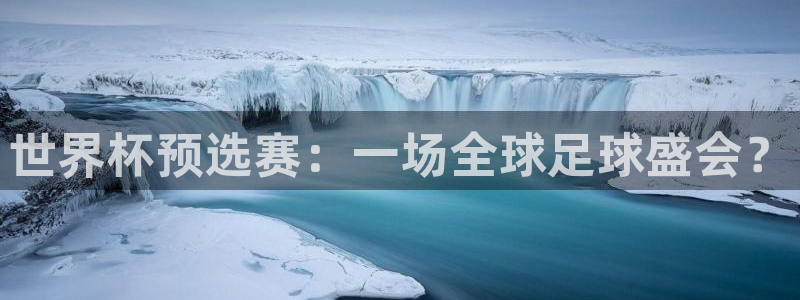 世界杯官网：世界杯预选赛：一场全球足球盛会？