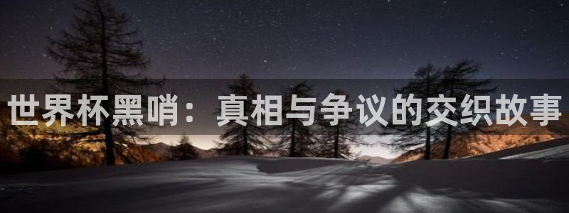 2026世界杯32强对阵图表：世界杯黑哨：真相与争议的交织故事