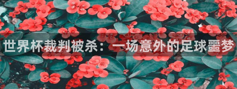 2026世界杯日期：世界杯裁判被杀：一场意外的足球噩梦