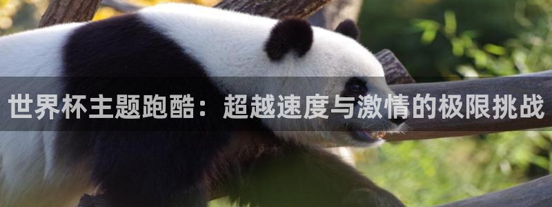 世界杯今日赛程直播：世界杯主题跑酷：超越速度与激情的极限挑战