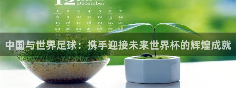 澳门世界杯直播：中国与世界足球：携手迎接未来世界杯的辉煌成就