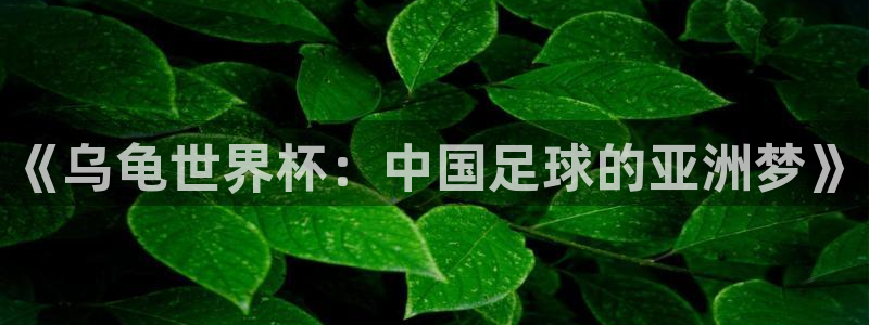 世界杯欧洲预选赛：《乌龟世界杯：中国足球的亚洲梦》