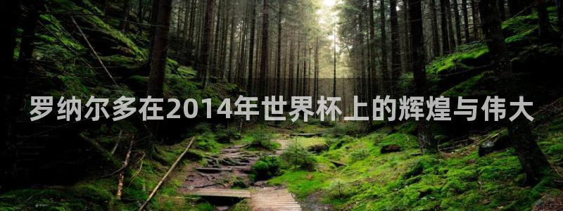 2026世界杯欧洲预选赛赛程表：罗纳尔多在2014年世界杯上的辉煌与伟大