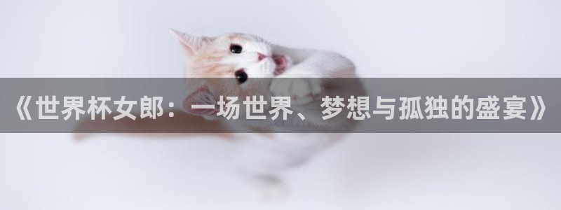 2026世界杯赛程表完整版：《世界杯女郎：一场世界、梦想与孤独的盛宴》