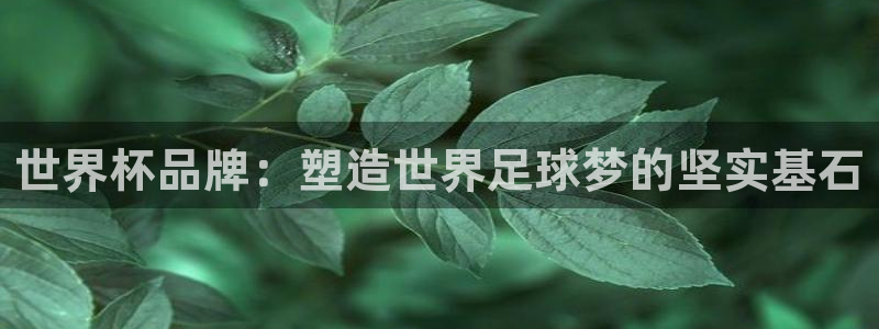 世界杯官网入口：世界杯品牌：塑造世界足球梦的坚实基石