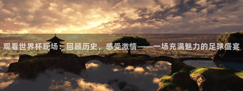 2026世界杯德国队阵容：观看世界杯现场：回顾历史，感受激情——一场充满魅力的足球盛宴