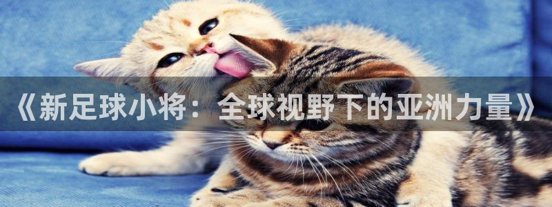 世界杯对阵表：《新足球小将：全球视野下的亚洲力量》