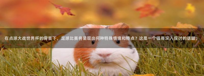 欧联杯直播：在点球大战世界杯的背景下，足球比赛将呈现出何种特殊情境和特点？这是一个值得深入探讨的话题。