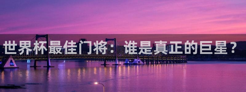 2026世界杯官网：世界杯最佳门将：谁是真正的巨星？