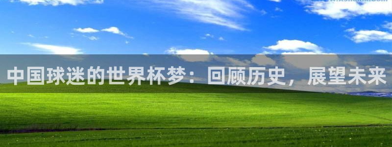 欧洲区世界杯预选赛：中国球迷的世界杯梦：回顾历史，展望未来
