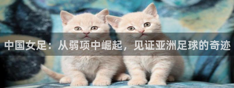 世界杯今日赛程直播：中国女足：从弱项中崛起，见证亚洲足球的奇迹